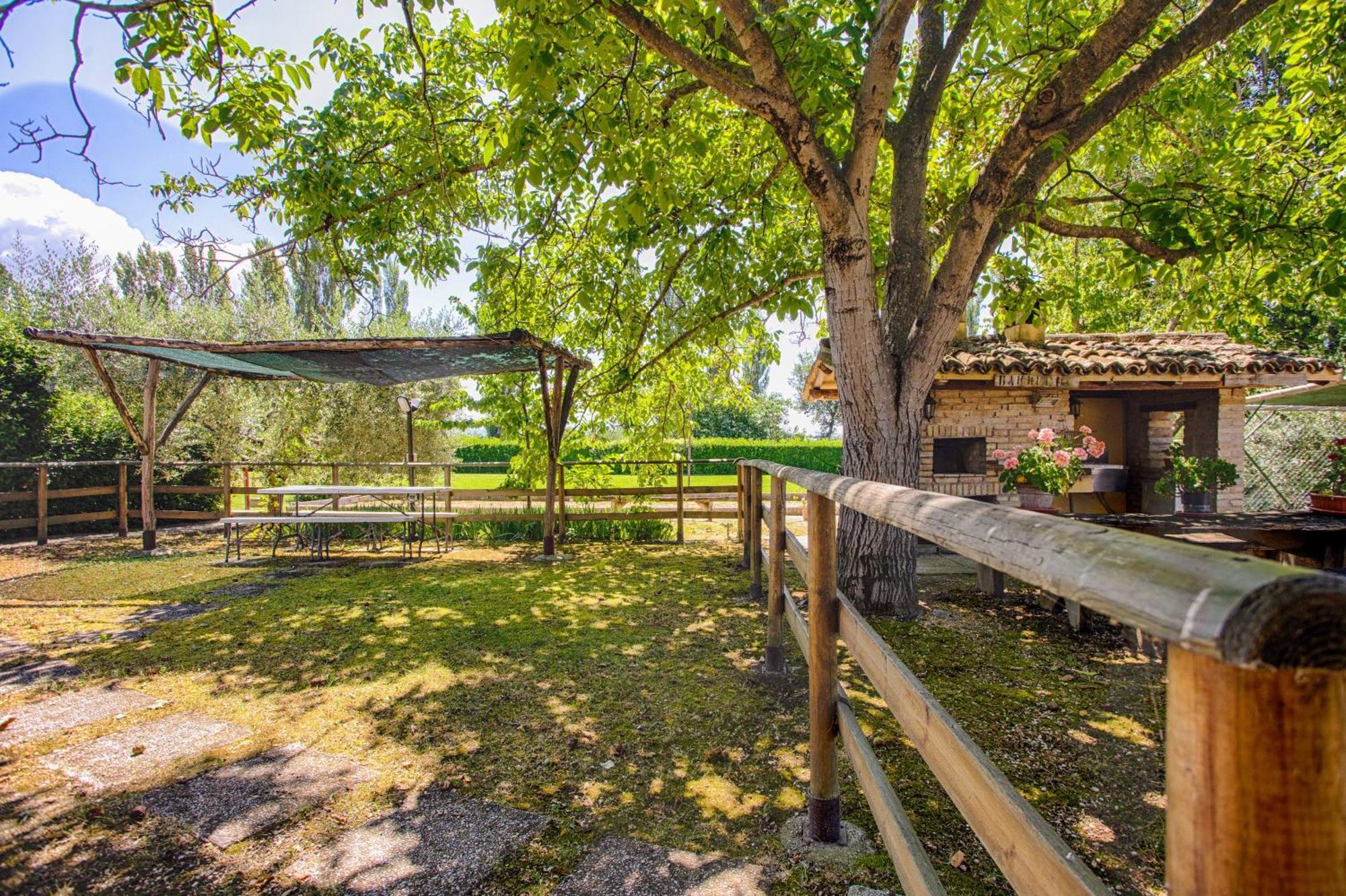 Agriturismo La Mora Assisi Ngoại thất bức ảnh